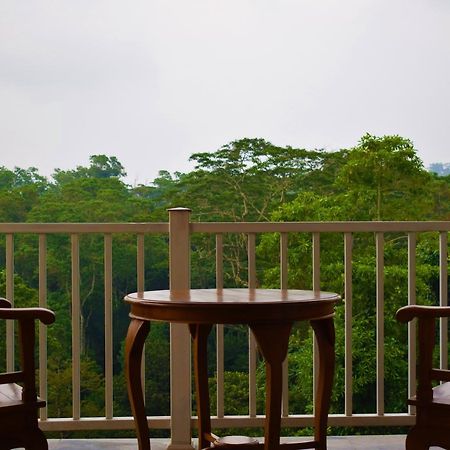 Bee View Home Stay Kandy Ngoại thất bức ảnh